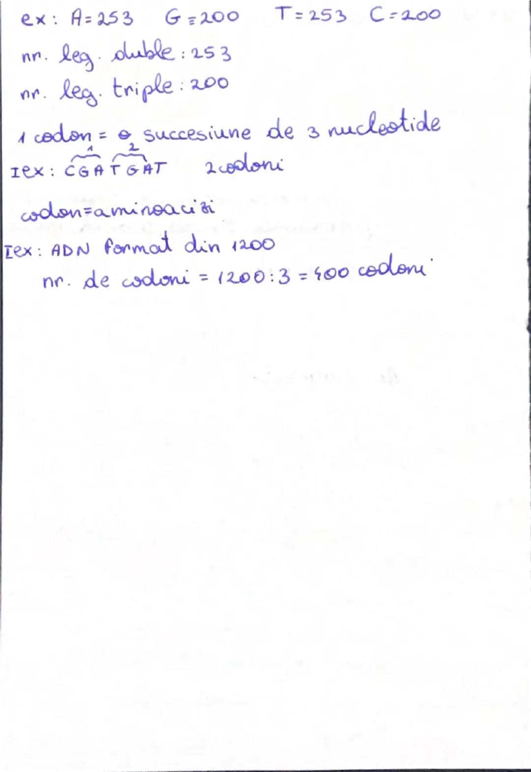 GENETICA MOLECULARĂ
Nucleotida formată din:
-radical fosfat
- zahăr = pentora < ARN riboză
> ADN de zoxiriboză
- baze azotate: •purinice: ad