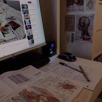 user profile picture